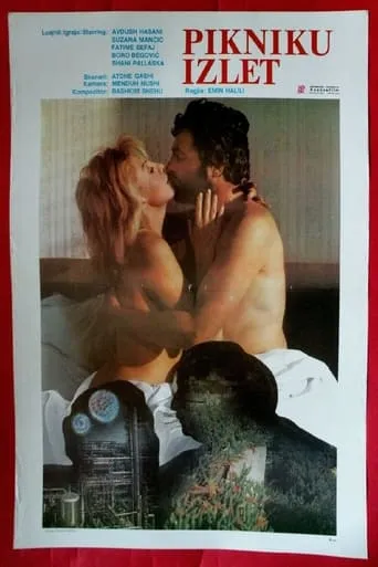 The Picnic movie poster - Entertainment content