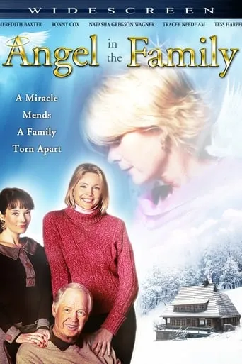 Angel in the Family movie poster - Rated 4.5/10