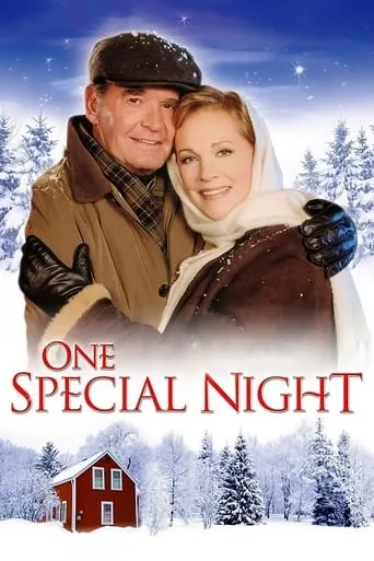 One Special Night movie poster - Rated 6.8/10