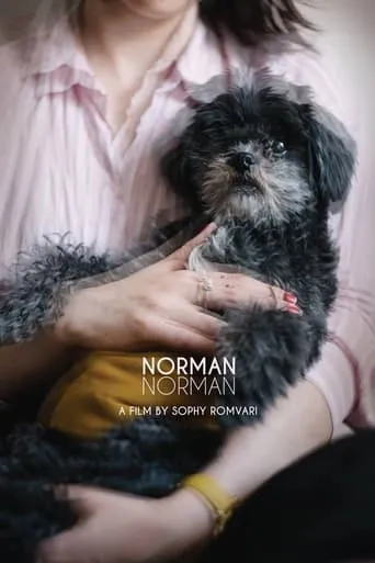 Norman Norman movie poster - Rated 6/10