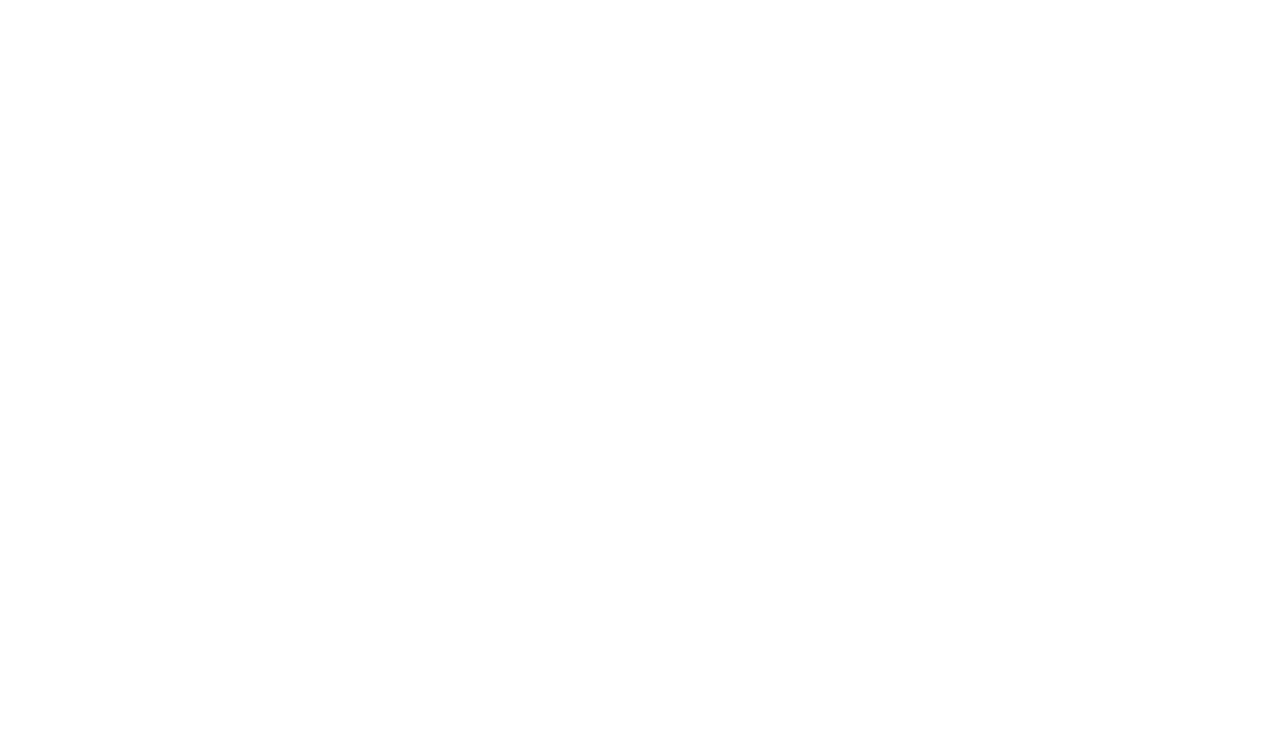 The Leunig Fragments