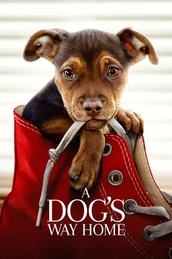A Dog's Way Home movie poster - Rated 7.372/10