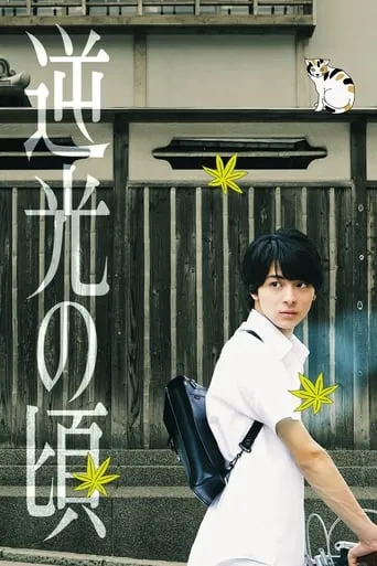 Lights of Kyoto movie poster - Rated 5.8/10
