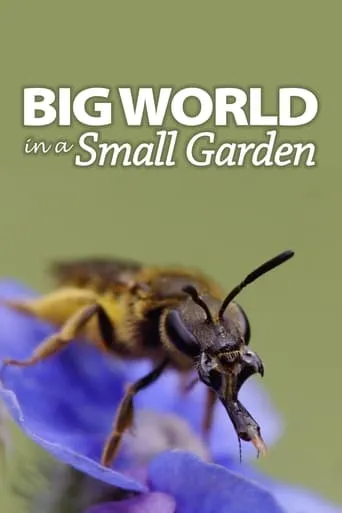Big World In A Small Garden movie poster - Entertainment content