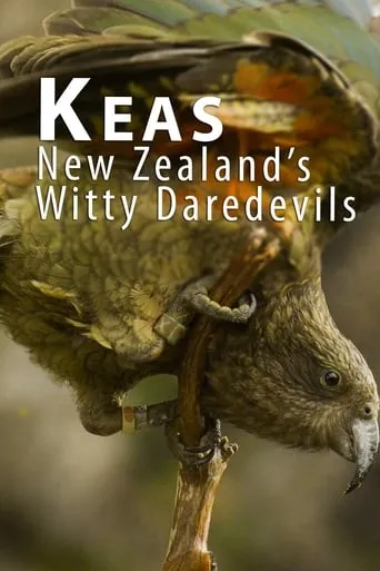 Keas - New Zealand's Witty Daredevils movie poster - Rated 8/10