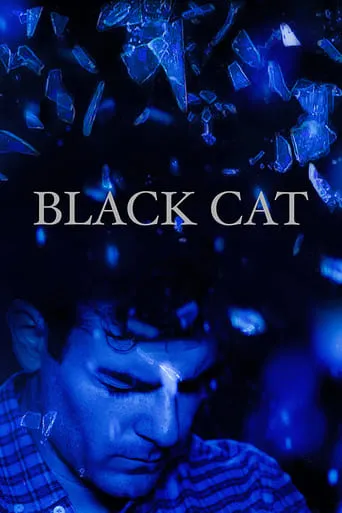 Black Cat movie poster - Rated 10/10