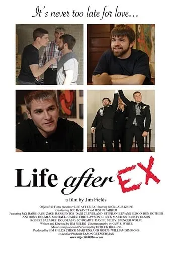 Life After Ex movie poster - Rated 5/10