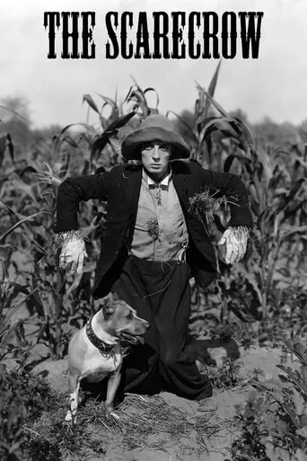 The Scarecrow movie poster - Rated 7.4/10