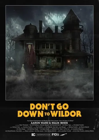 Don’t Go Down to Wildor movie poster - Rated 7/10
