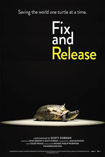 Fix and Release movie poster - Entertainment content