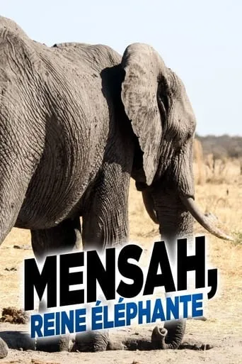 Elephant Queen movie poster - Rated 8/10