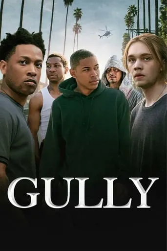 Gully movie poster - Rated 5.3/10