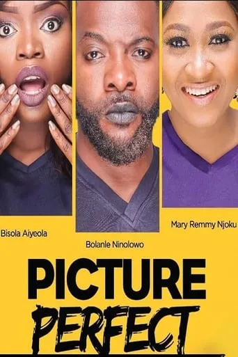 Picture Perfect movie poster - Entertainment content