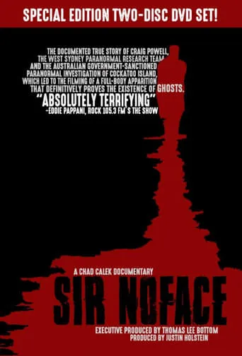 Sir Noface movie poster - Rated 6/10
