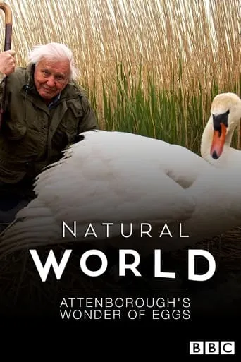 Attenborough's Wonder of Eggs movie poster - Rated 6/10