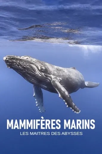 Mammifères marins - les maîtres des abysses movie poster - Rated 8/10