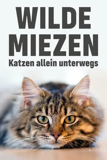 Wilde Miezen - Katzen allein unterwegs movie poster - Rated 8.2/10