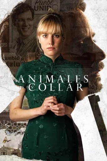 Unbridled movie poster - Rated 5.3/10