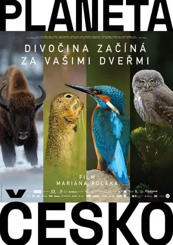 Wilder Than Wilderness movie poster - Rated 5.333/10