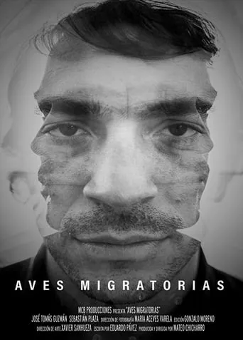 Migratory Birds movie poster - Rated 5/10