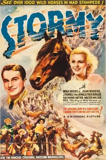 Stormy movie poster - Entertainment content