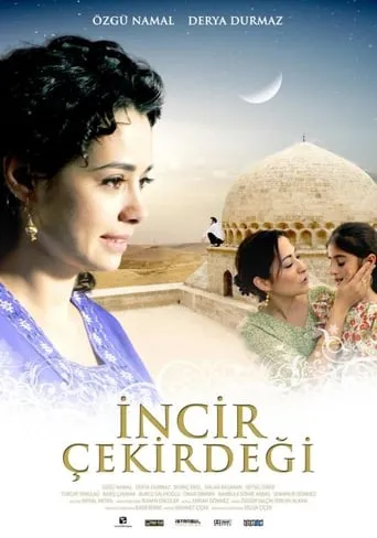 İncir Çekirdeği movie poster - Rated 2.8/10