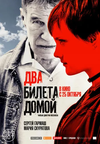 Two Tickets Home movie poster - Rated 6/10