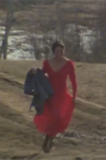 The Red Dress movie poster - Rated 7/10