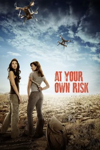 At Your Own Risk movie poster - Rated 2.7/10