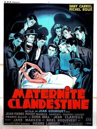 Illicit Motherhood movie poster - Rated 1.5/10