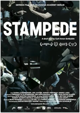 Stampede movie poster - Rated 6/10