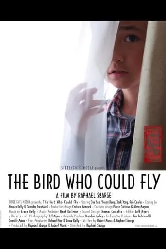 The Bird Who Could Fly movie poster - Entertainment content