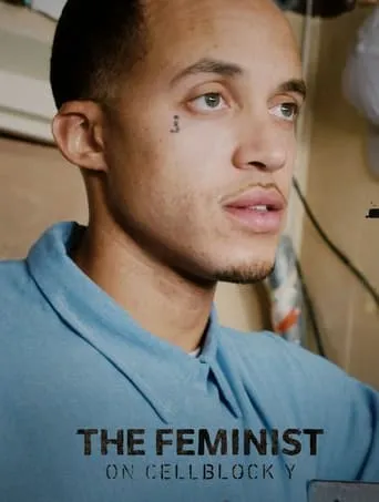 The Feminist on Cellblock Y movie poster - Rated 10/10