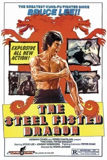 The Steel Fisted Dragon movie poster - Rated 4.2/10