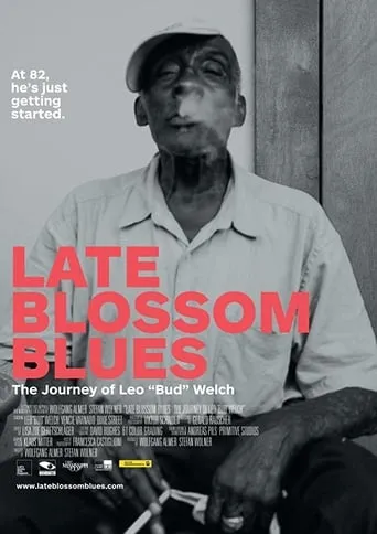 Late Blossom Blues movie poster - Entertainment content
