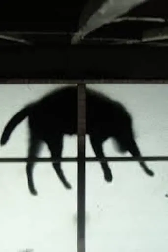 Scissors and the Cat movie poster - Entertainment content