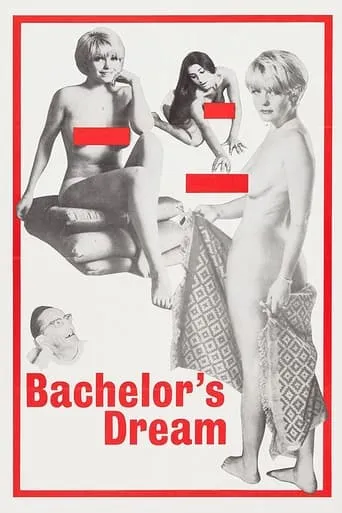 The Bachelor's Dreams movie poster - Rated 2/10