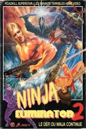 Ninja Eliminator 2: Quest of the Magic Ninja Crystal movie poster - Rated 8/10