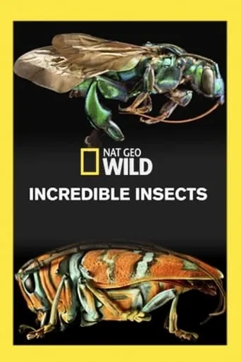 Incredible Insects movie poster - Rated 6.3/10