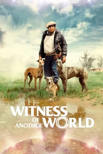 Witness of Another World movie poster - Rated 7.2/10