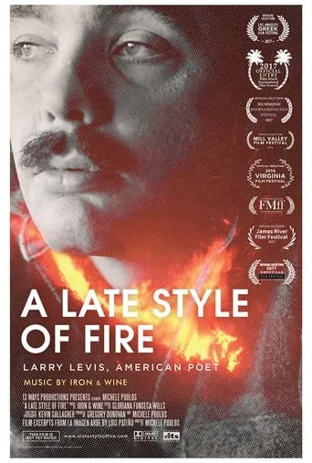 A Late Style of Fire movie poster - Rated 5/10