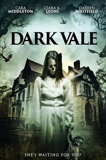 Dark Vale movie poster - Rated 2.5/10