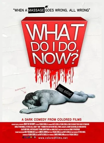 What Do I Do Now? movie poster - Entertainment content