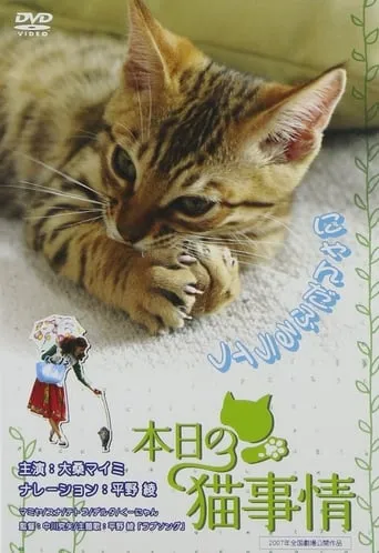 Honjitsu no neko jijô movie poster - Entertainment content