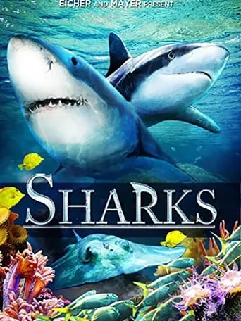 Sharks (in 3D) movie poster - Rated 6/10