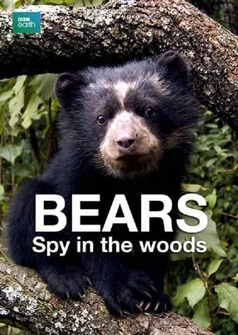 Bears: Spy in the Woods movie poster - Rated 8/10