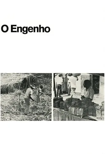 O Engenho movie poster - Entertainment content
