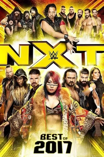 NXT: Best of 2017 movie poster - Rated 10/10