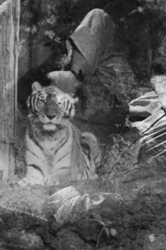 The Horrible Thirty: Me, My Father and Richard the Tiger movie poster - Entertainment content