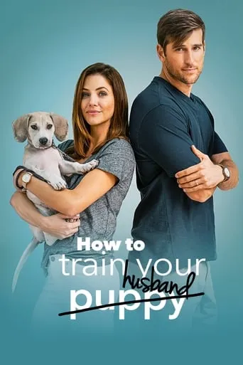 How to Train Your Husband movie poster - Rated 6.242/10